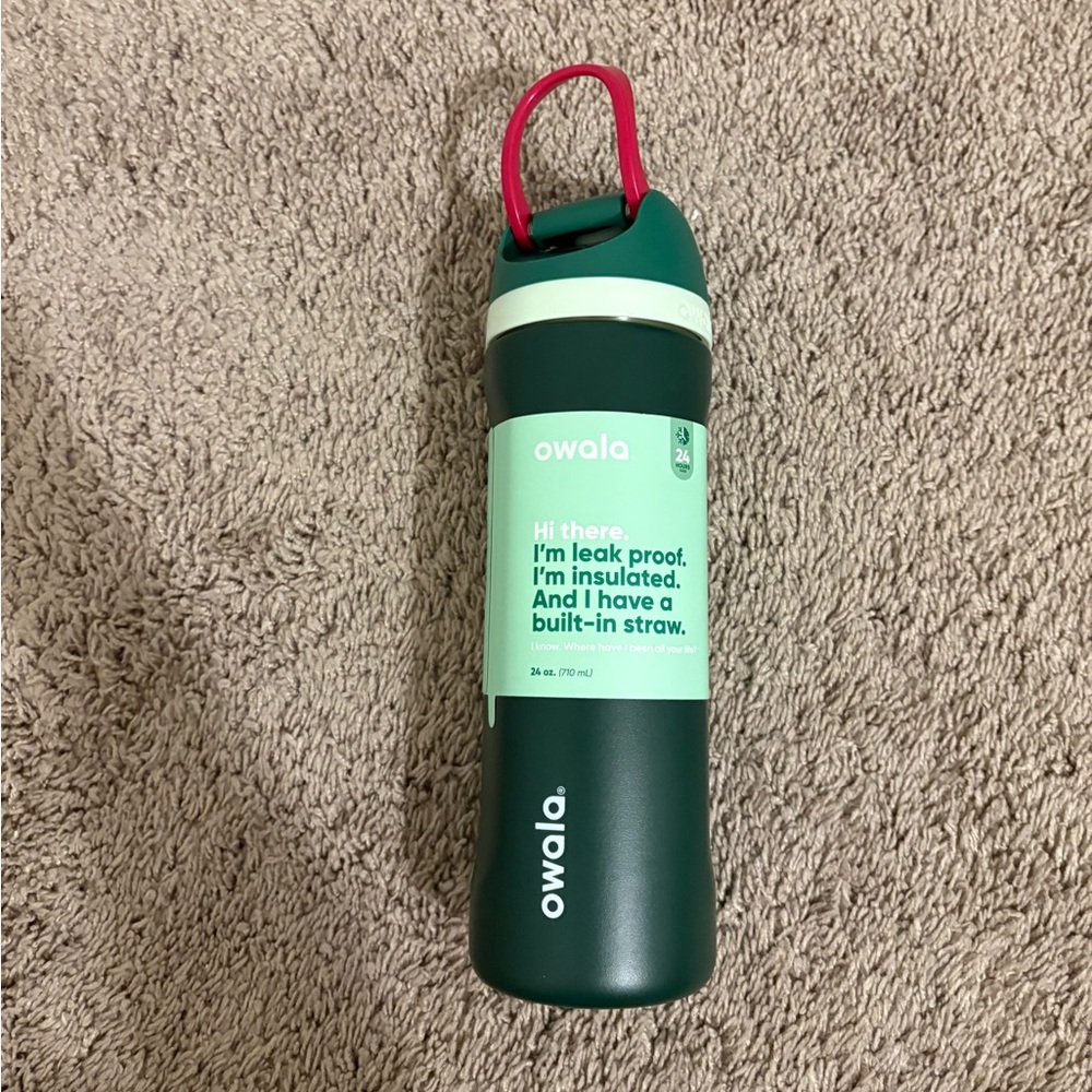 Owala Green Insulated Water Bottle with Straw
